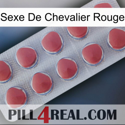 Red Knight Sex 18